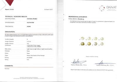 cert - Natural Pearl Stud Earrings on 18k Gold