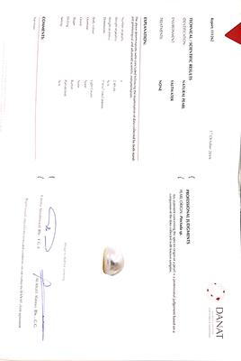 Cert - Natural Pearls 7mm 4+carats with Diamonds Earring in White Gold