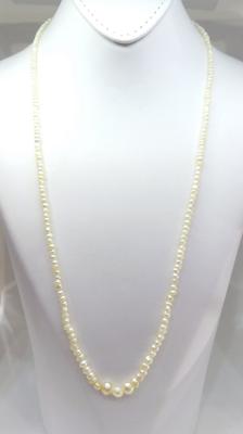 Natural Pearls Basra Persian Gulf Necklace