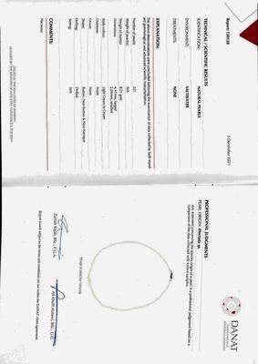 Cert - Natural Pearls Basra Persian Gulf Necklace