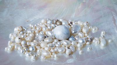 The cultured pearl samples investigated in this study. The pearls