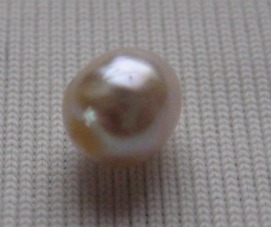 Natural half drilled pearl