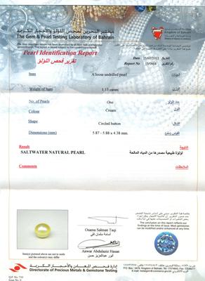 Natural  Persian Gulf Pearl Pendant Certificate