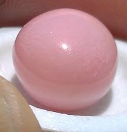 Natural Pink Conch Pearl 11 carats