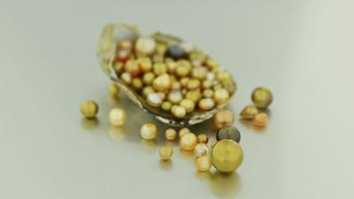 natural pipi pearls was collected from French Polynesia. Courtesy of Bruno Arrighi/Croissy Pacific. Photo by Olivier Segura.