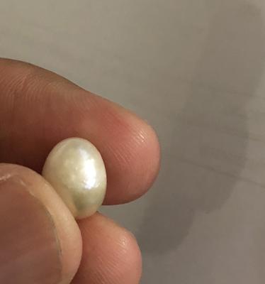 Saltwater natural Pearls