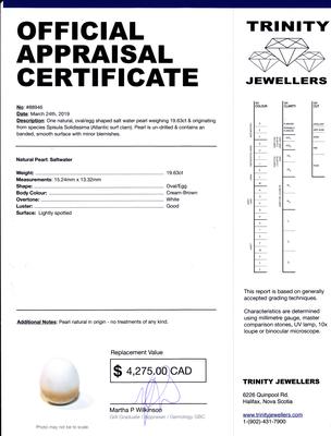 Natural Saltwater Clam Pearl 19+ carats 20mm