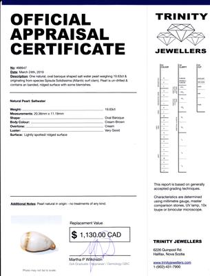 Natural Saltwater Clam Pearl 19 carats