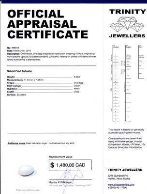 Natural Saltwater Clam Pearl 4 carat