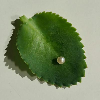 Natural Saltwater Pearl 0.82 ct