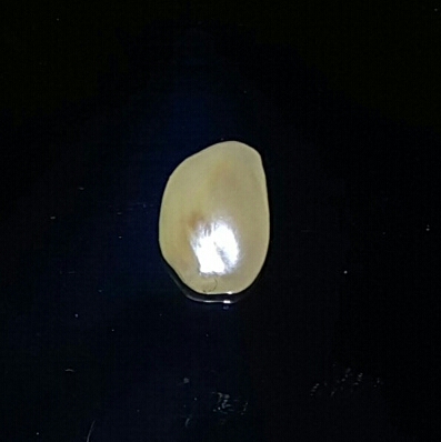 Natural Saltwater Pearl 2 ct Baroque 10mm