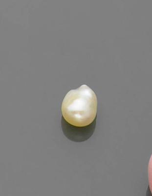 Non-Cultured Saltwater Natural Pearl