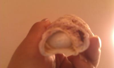 Natural Saltwater Pearl in Seashell