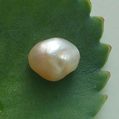 Natural Saltwater Pteria Pearl 3+ ct