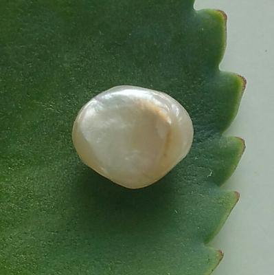 Natural Saltwater Pteria Pearl 3+ ct