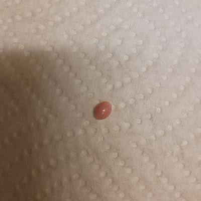 Natural Saltwater Queen Conch Pearl 6mm