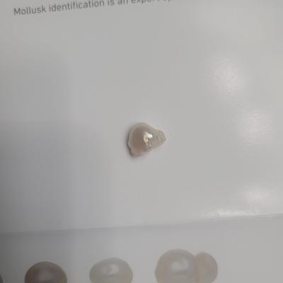 Natural Saltwater Wild Pearl 3+ carats 11mm
