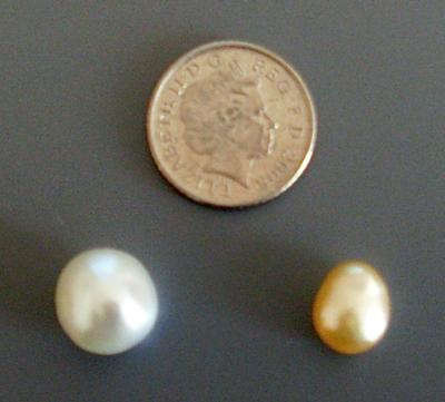 Nncultivated South Sea Pearls