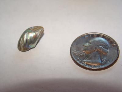 Natural USA Abalone Pearl 7 carats