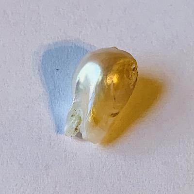 Natural USA Freshwater Pearl Baroque 2+ carat