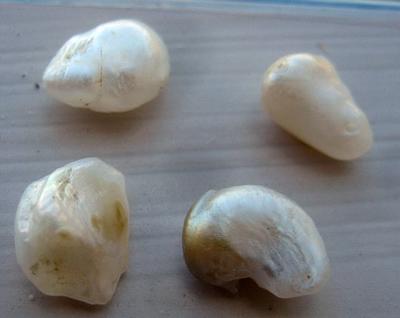 Natural USA Freshwater Pearls - Group of 4