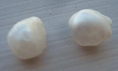 Natural USA Freshwater Pearls - Pair