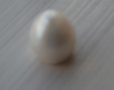 USA Natural Pearl Dome Shaped