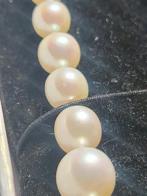 Natural Wild Graduated Saltwater pearl strand... in the trash?