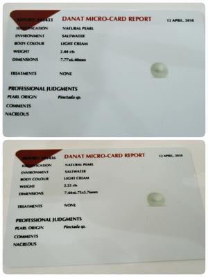 Natural-Baroque Basra Pearls Pair Of Earrings 2+ Carats Each