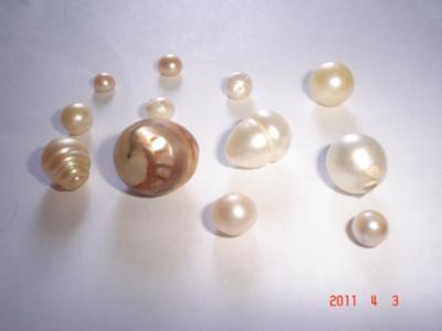 Nautilus Pearl surrounded with different kinds of Pearls.