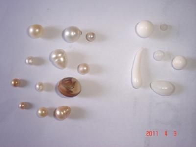 Nautilus Pearl surrounded with different kinds of Pearls.