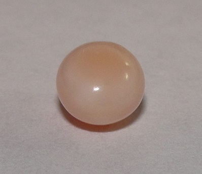Near Round Light Brown Conch Pearl 1.5 carat