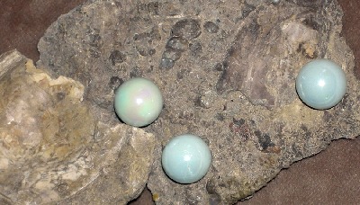 Fossilized Pearls from Wyoming