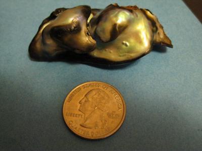 North California Abalone Pearl