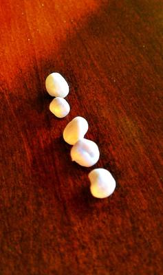 Alaskan King Crab Pearls