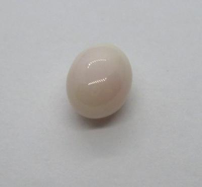 Off White Oval Conch Pearl 2 Carats 8mm