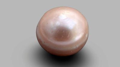 Oldest pearl found in UAE