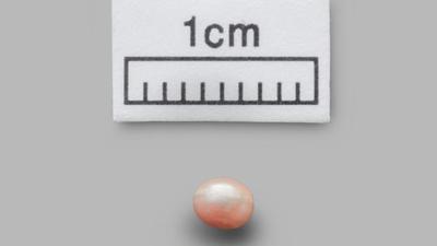 Oldest pearl found in UAE