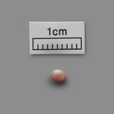 One of world's oldest pearl