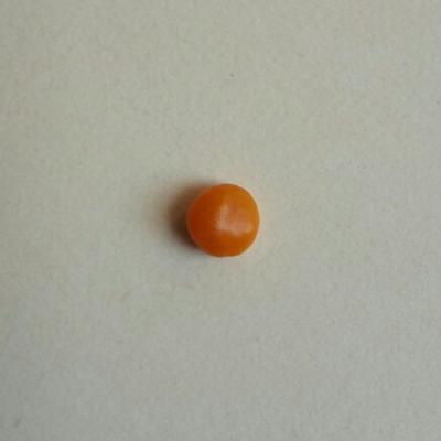 Orange Clam Pearl 1.95 ct for Sale