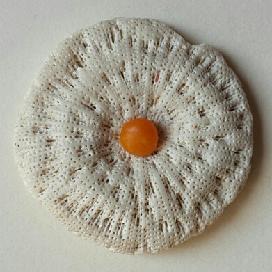 Orange Clam Pearl 1.95 ct for Sale