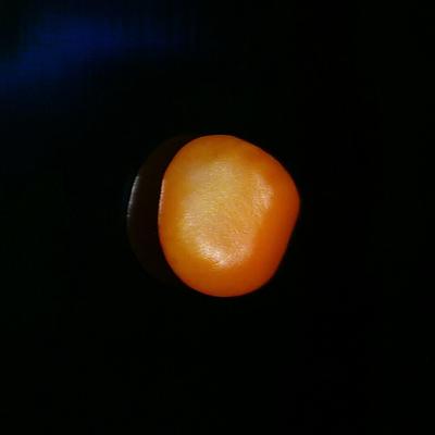 Orange Clam Pearl 5.25 ct for Sale
