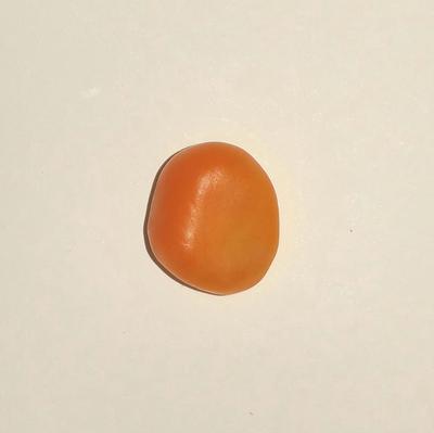 Orange Clam Pearl 5.25 ct for Sale