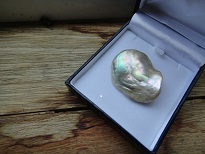 Abalone Pearl 87.5 carats