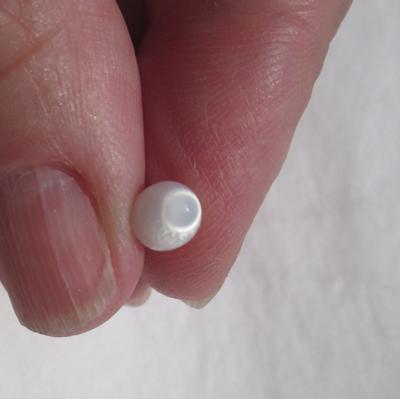 Oval Clam Pearl 7mm with Flame