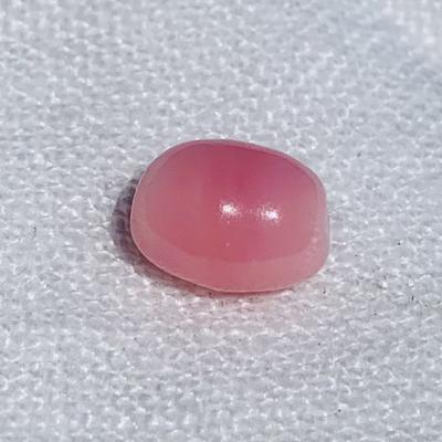 Oval Conch Pink Pearl 5.22 carats 11mm