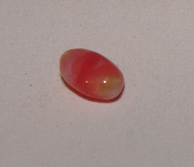 Oval Pink Conch Pearl 7mm