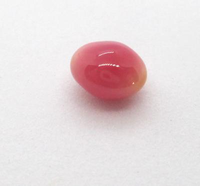 Oval Pink Conch Pearl 7mm