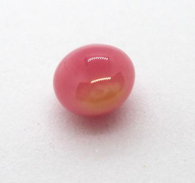 Oval Pink Conch Pearl 7mm
