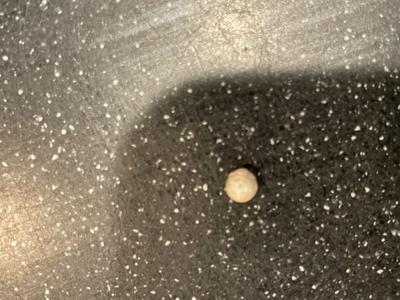 Pacific NW Dungeness Crab Pearl